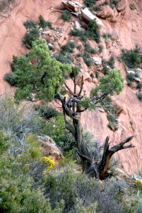 20120105-OC-AMW-0376