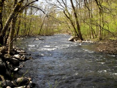 Dam removal will allow water to pass more freely along the designated "Wild and Scenic" Musconetcong River photo