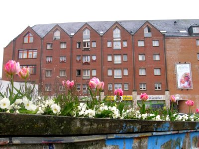 Maubeuge