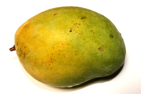 Mango fruit food