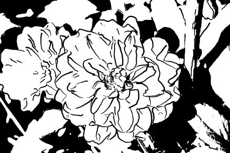 Line art