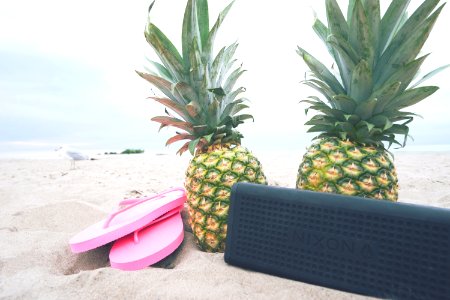 Pineapple 27