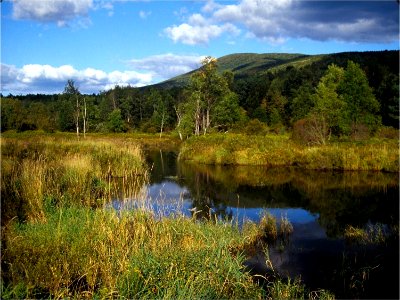 Catskills Mountains and freshwater marsh, NY