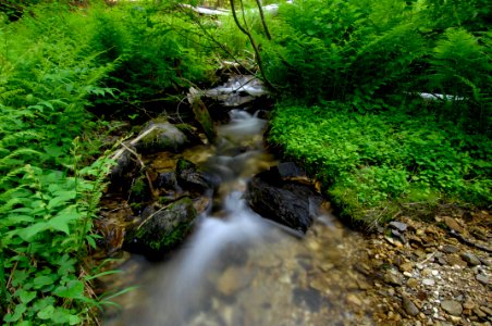 20120106-OC-AMW-0233