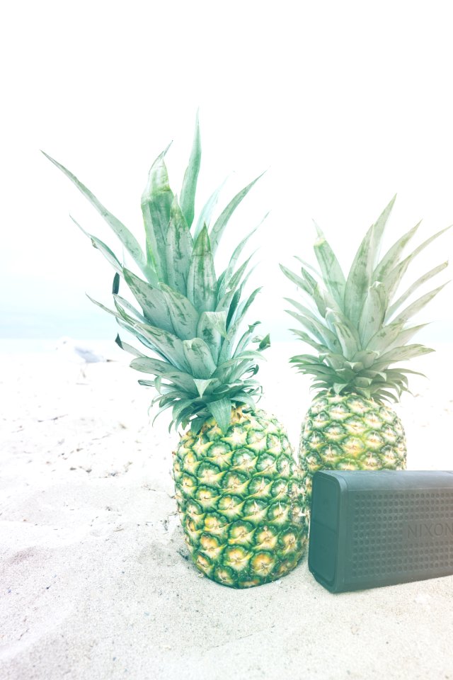 Pineapple 38