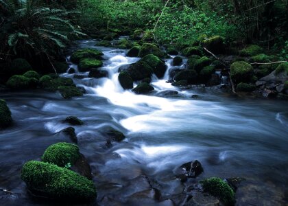 River flowing oregon