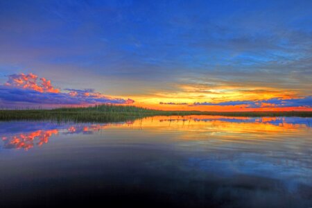 Colorful water everglades