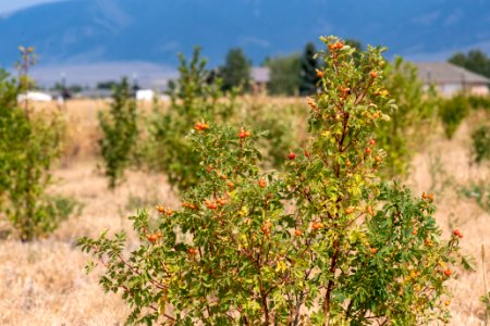 20190829-NRCS-LSC-0341