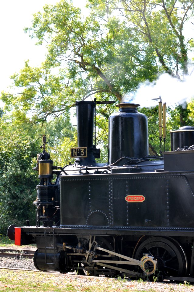 Train des mouettes - Charente-Maritime - France