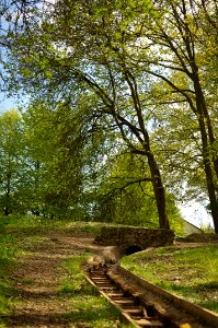 Little bridge - Forest - Gif-sur-Yvette - France photo