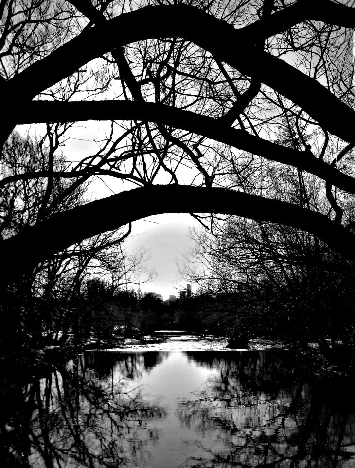 Don river