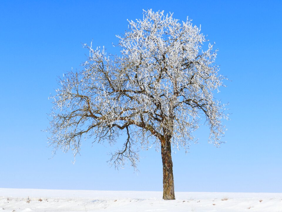 Ice snow iced