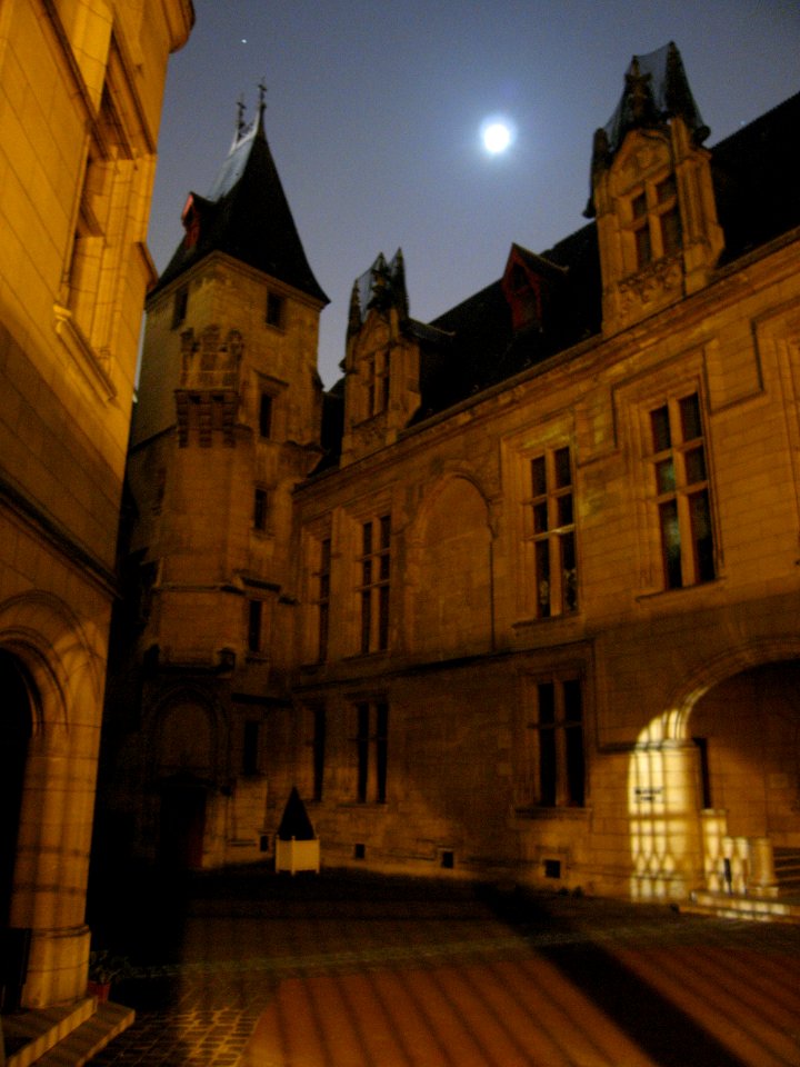 Hôtel des archevêques de Sens - Bibliothèque Forney