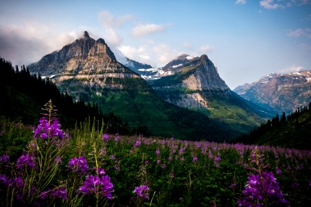 Going to the Sun Road