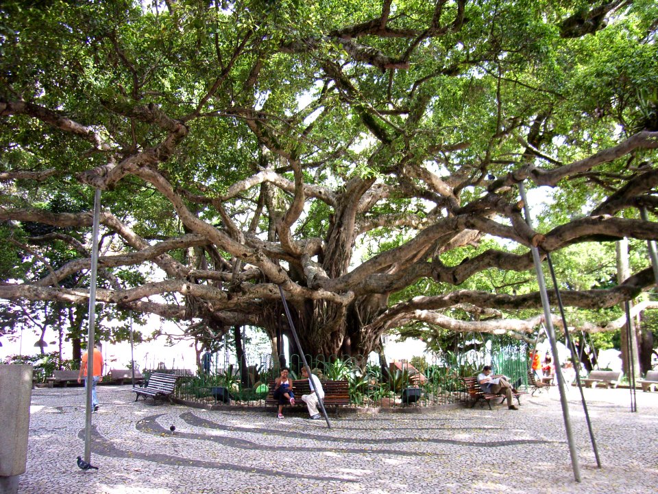 Plaça central de Floripa