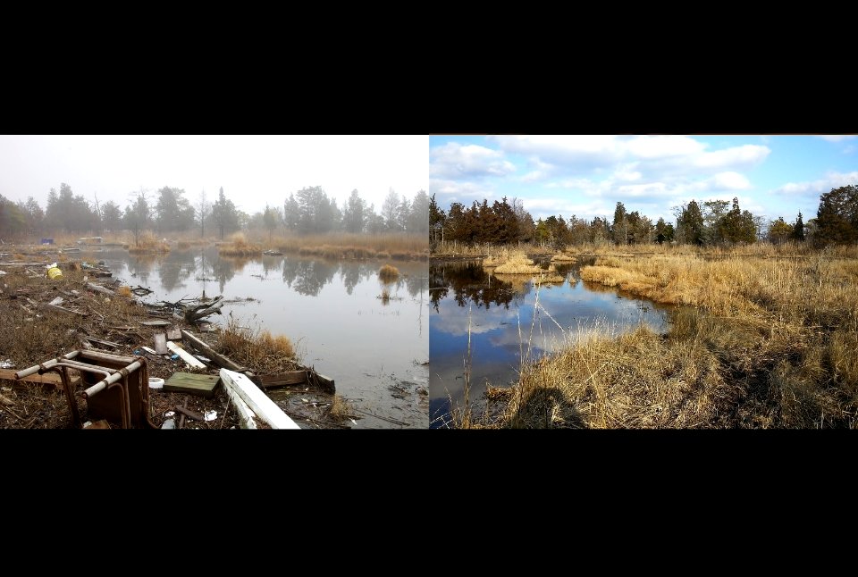 ForsytheBefore-After