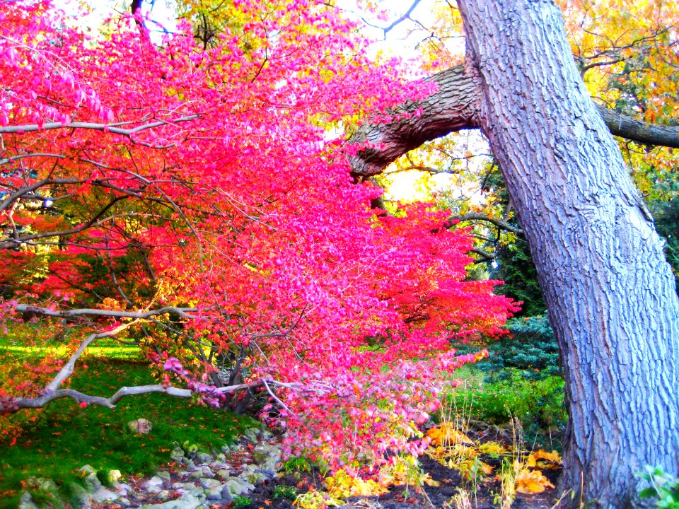 High Park