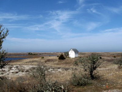 Photo of the Week - Monomoy National Wildlife Refuge (MA) photo