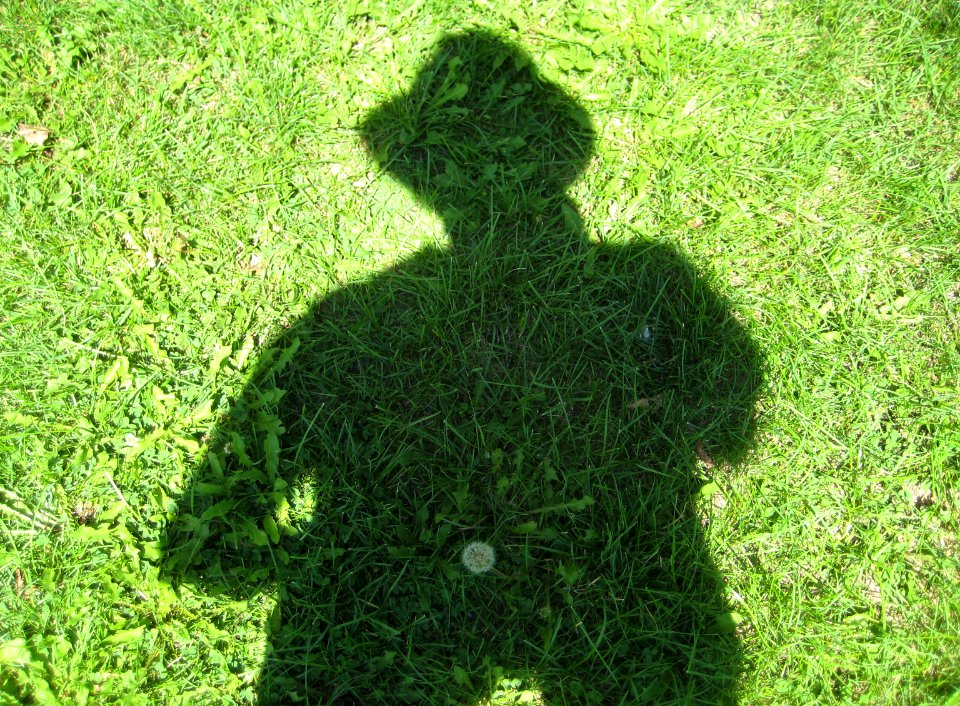 Arcimboldo's shadow