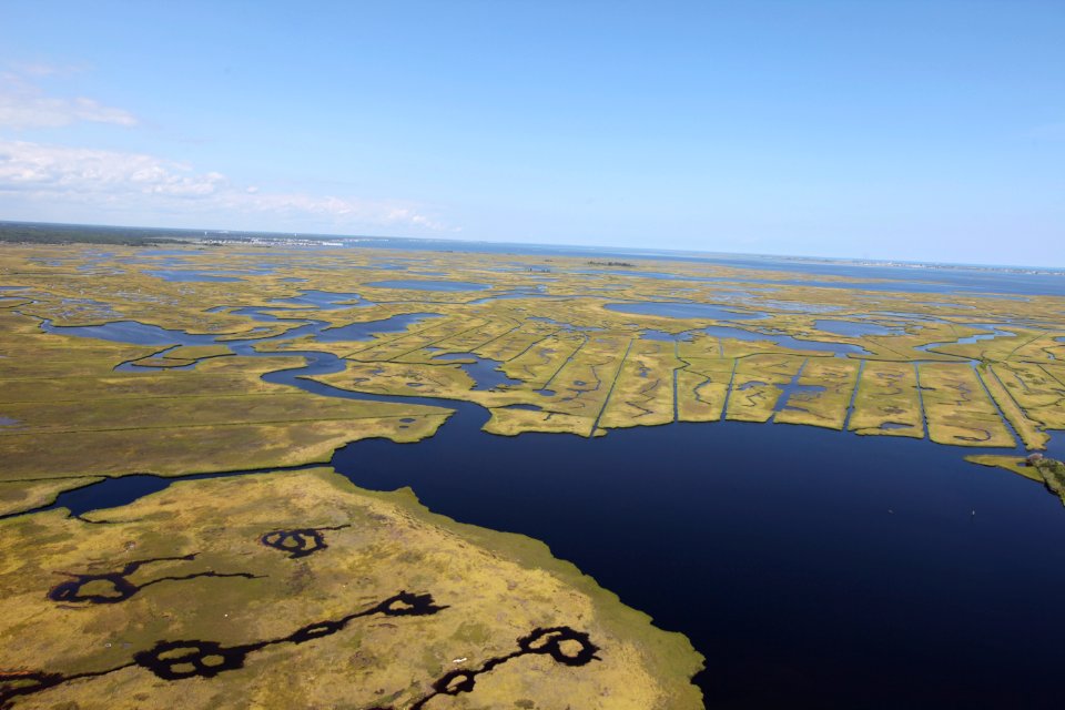 Day 2 - Forsythe National Wildlife Refuge Flyover