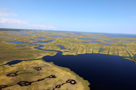 Day 2 - Forsythe National Wildlife Refuge Flyover