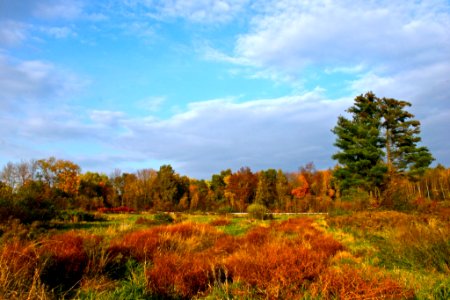Photo of the Week - Fall Colors at Silvio O. Conte National Wildlife Refuge, MA photo