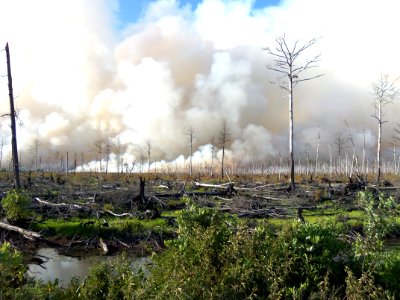 Lateral West Wildfire