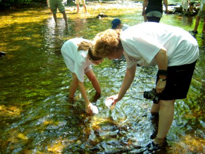 Teacher and student release fry
