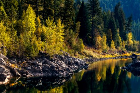 Flathead River- Calm Morning