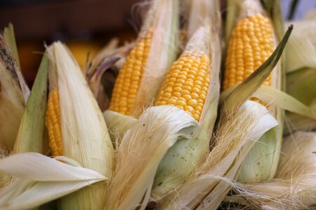 Yellow fresh brown vegetables