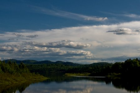 The Great North Woods