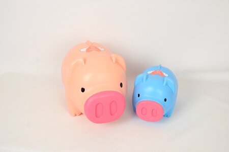 Pig piggy bank in the new year photo