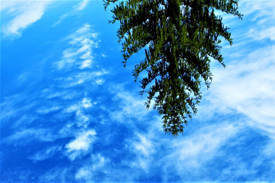 as above, so below