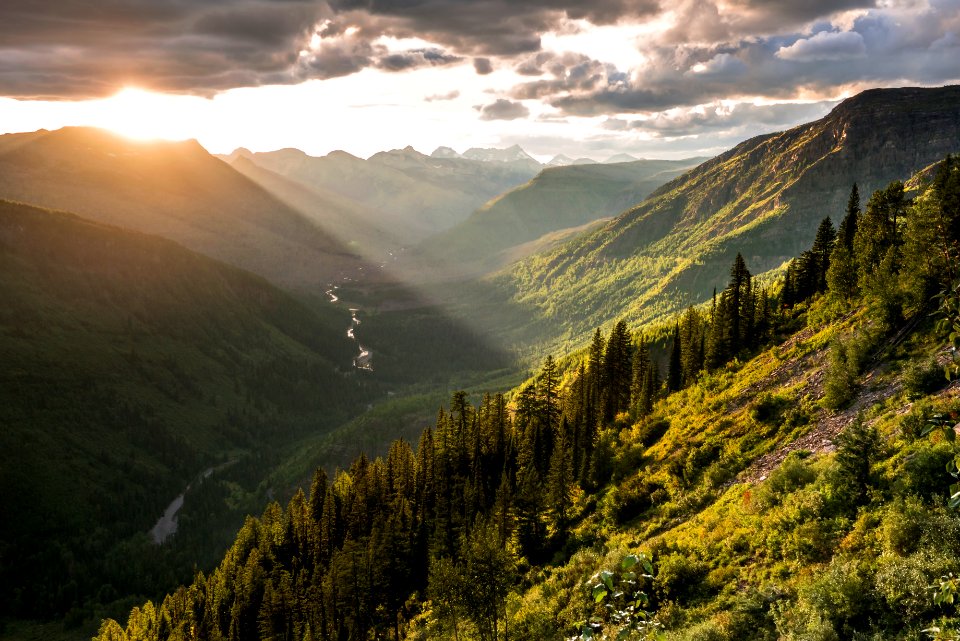 Golden Sunset