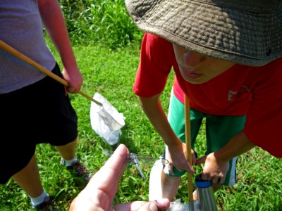 Environmental education