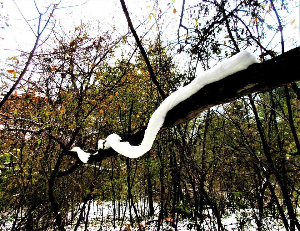 snowplasticity