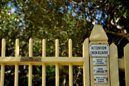 Dogs & Fences - Providence, Rhode Island photo