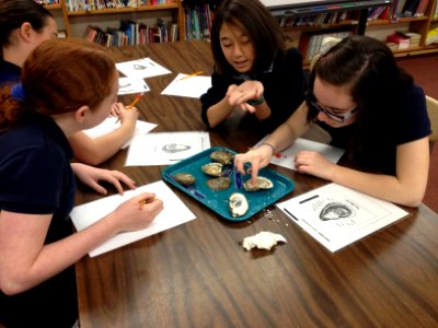 Students learning about oysters at Down Township School