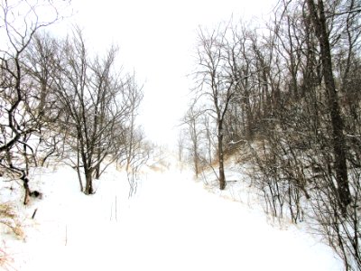 winter trail photo