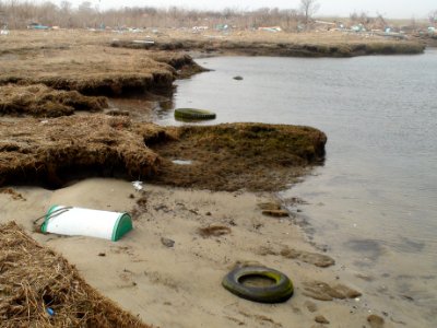 Debris at Lido Beach Wildlife Management Area