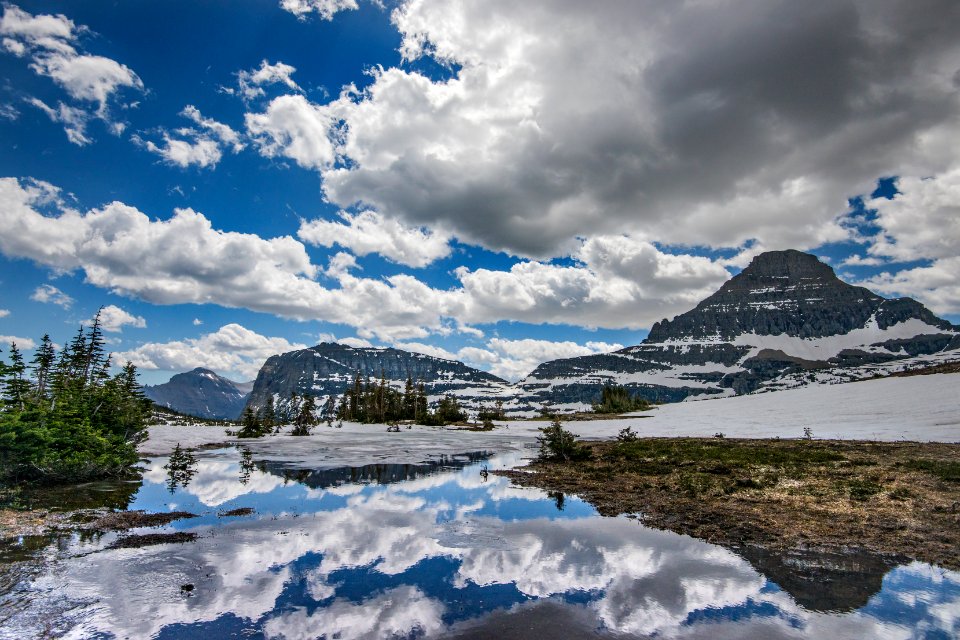 Logan Pass- Early Summer