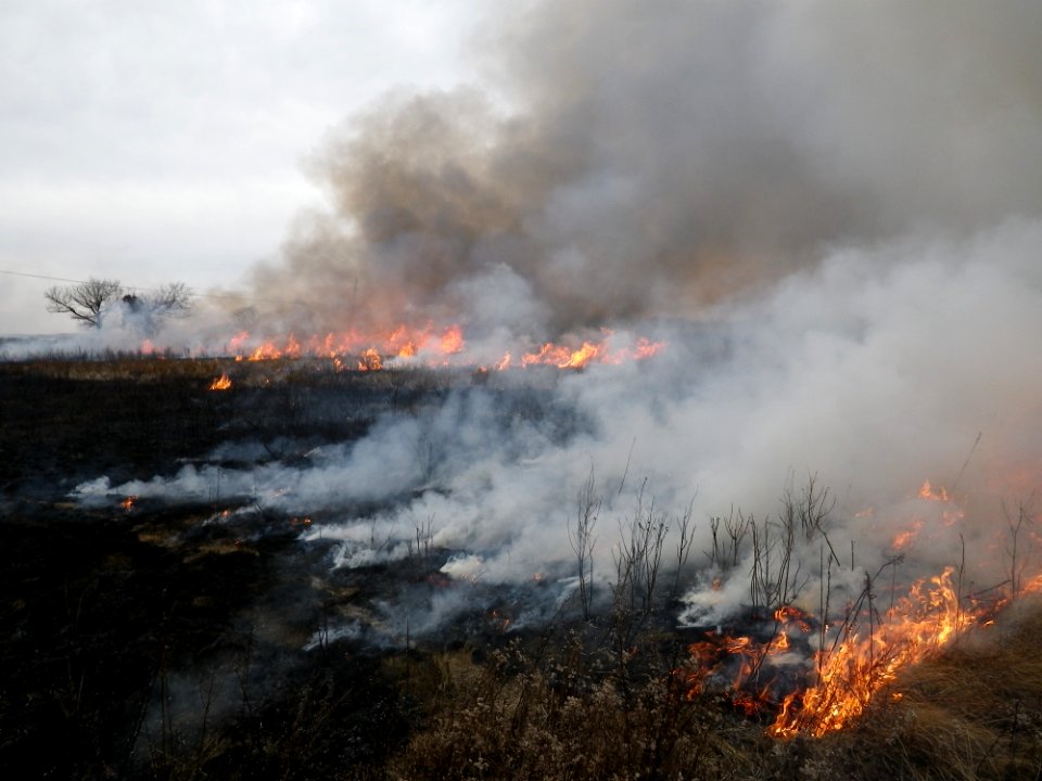 Controlled burn at Eastern Neck National Wildlife Refuge