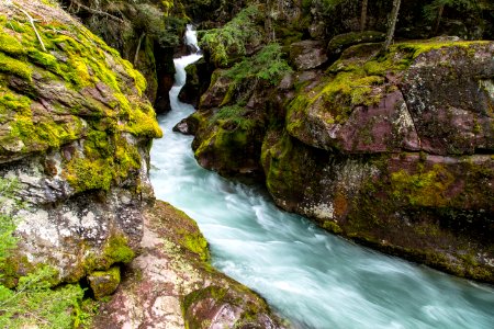 Avalanche Creek Gorge 4.23.16 photo