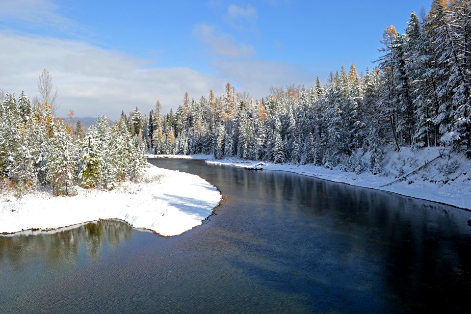 Lower McDonald Creek