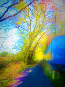 cycling in Autumn