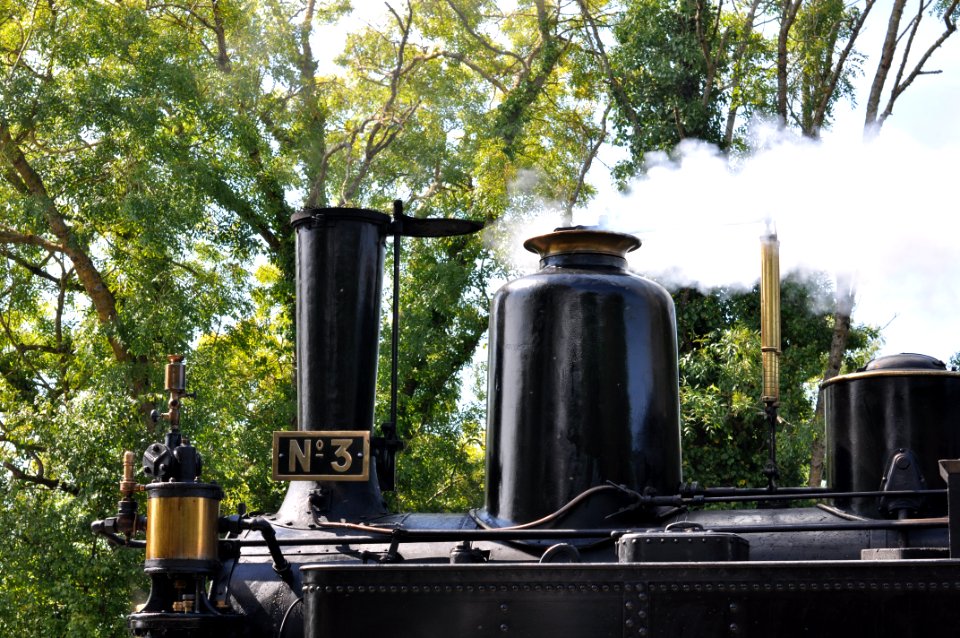 Train des mouettes - Charente-Maritime - France