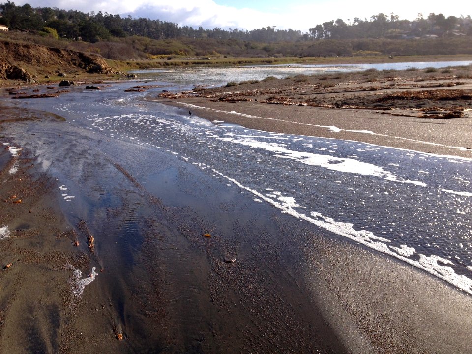 Santa Rosa Creek 1