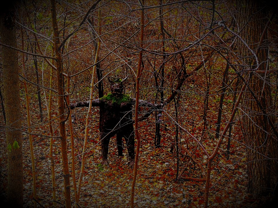 by the dark woods