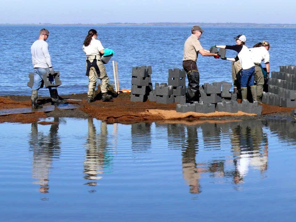 Putting Oyster Castles Together
