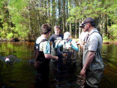 Fish monitoring of the Westecunk Creek barrier removal project